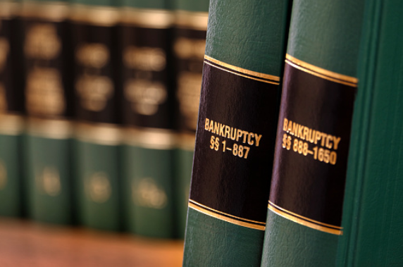 bankruptcy chapter